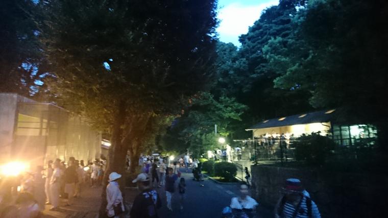 夜の動物園